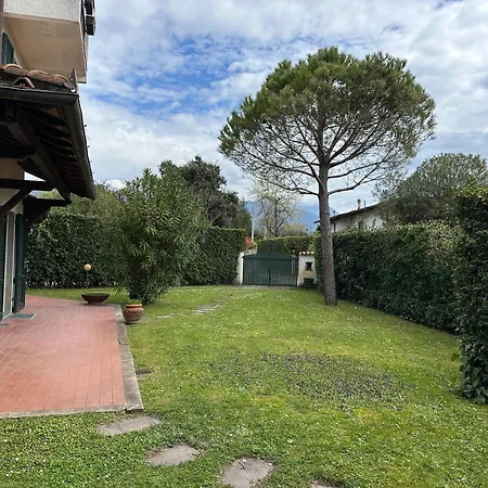 Alessandra Forte dei Marmi